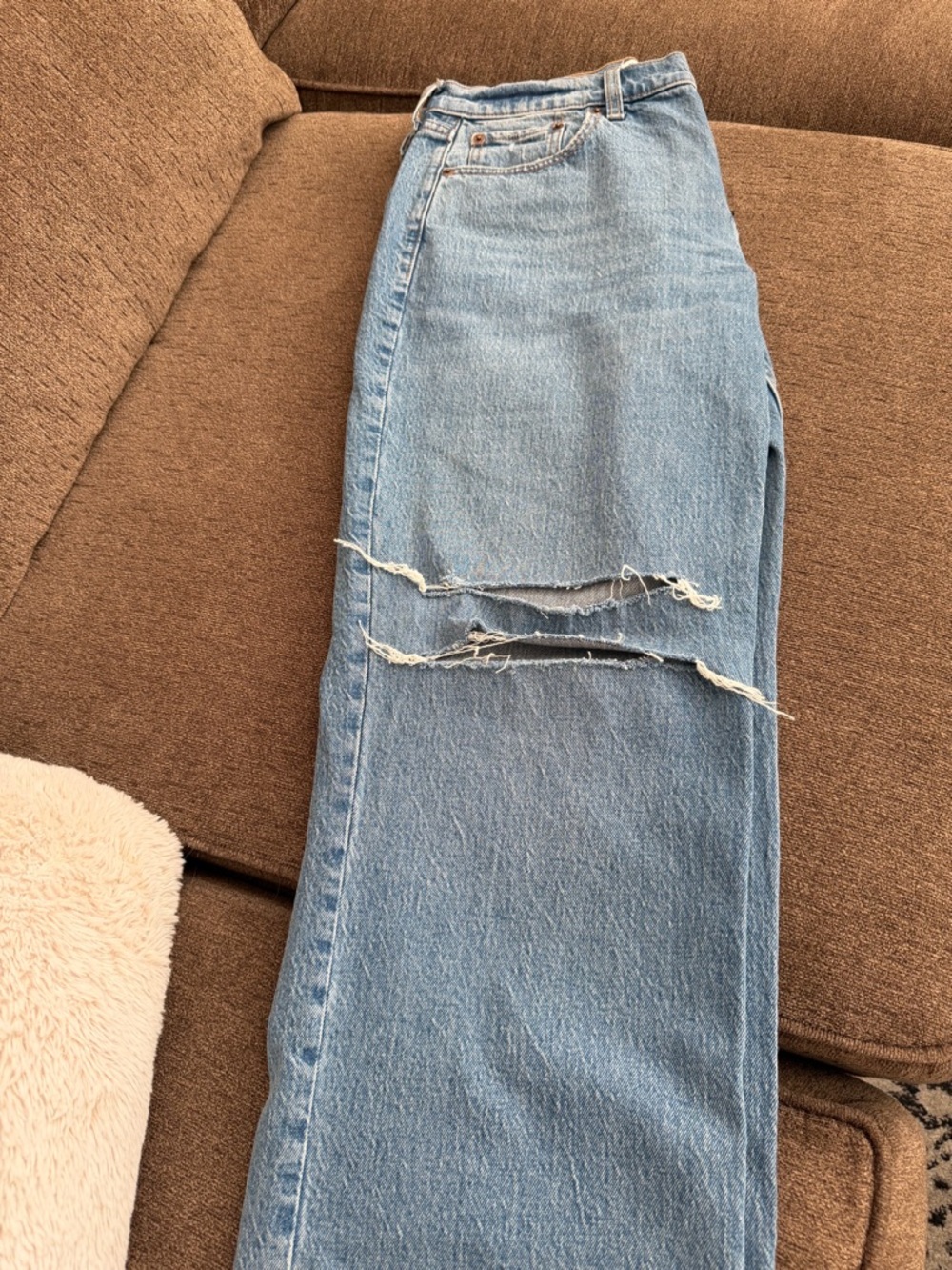 Abercrombie & Fitch Low Rise Baggy-Distressed
